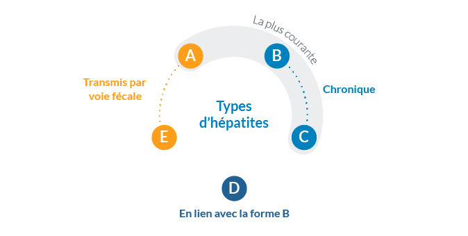 Comprendre l'hépatite virale - Quels sont les éléments pertinents ...